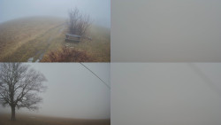 Sdružený snímek Bludný