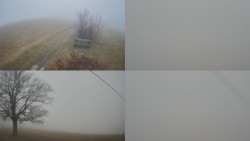 Sdružený snímek Bludný