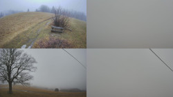 Sdružený snímek Bludný