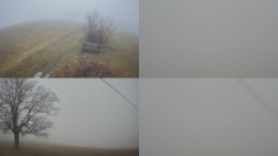 Sdružený snímek Bludný