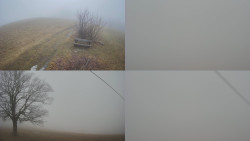 Sdružený snímek Bludný