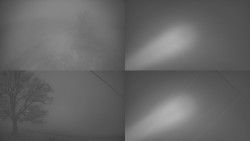 Sdružený snímek Bludný