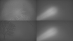 Sdružený snímek Bludný