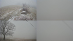 Sdružený snímek Bludný