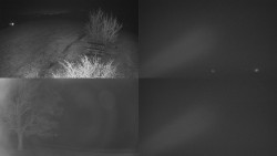 Sdružený snímek Bludný