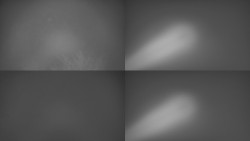 Sdružený snímek Bludný