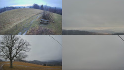 Sdružený snímek Bludný