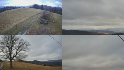 Sdružený snímek Bludný