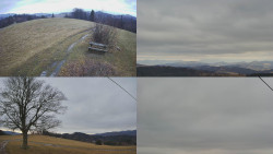 Sdružený snímek Bludný