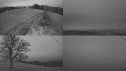 Sdružený snímek Bludný