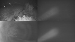 Sdružený snímek Bludný