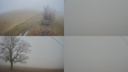 Sdružený snímek Bludný