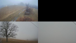 Sdružený snímek Bludný