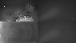 Sdružený snímek Bludný