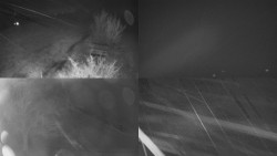 Sdružený snímek Bludný