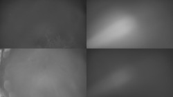 Sdružený snímek Bludný