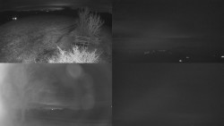 Sdružený snímek Bludný