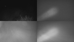 Sdružený snímek Bludný