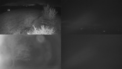 Sdružený snímek Bludný