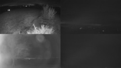 Sdružený snímek Bludný