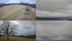 Sdružený snímek Bludný