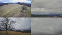 Sdružený snímek Bludný