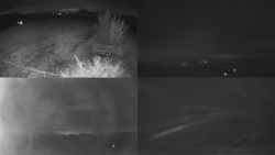 Sdružený snímek Bludný