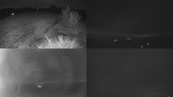 Sdružený snímek Bludný