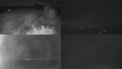 Sdružený snímek Bludný