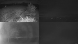 Sdružený snímek Bludný