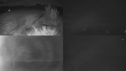 Sdružený snímek Bludný