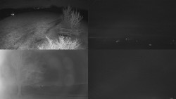 Sdružený snímek Bludný