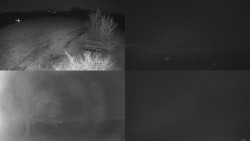 Sdružený snímek Bludný