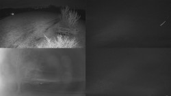 Sdružený snímek Bludný