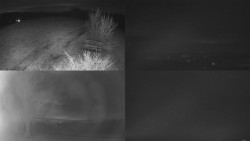 Sdružený snímek Bludný