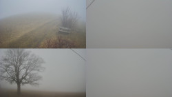 Sdružený snímek Bludný