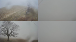 Sdružený snímek Bludný