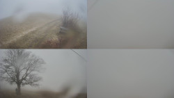 Sdružený snímek Bludný