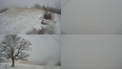 Sdružený snímek Bludný