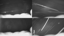 Sdružený snímek Bludný