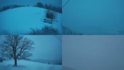 Sdružený snímek Bludný