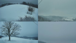 Sdružený snímek Bludný