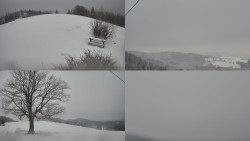 Sdružený snímek Bludný