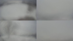 Sdružený snímek Bludný