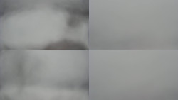 Sdružený snímek Bludný