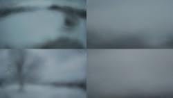 Sdružený snímek Bludný