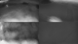 Sdružený snímek Bludný