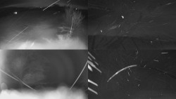 Sdružený snímek Bludný