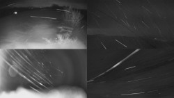 Sdružený snímek Bludný