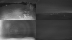 Sdružený snímek Bludný